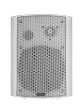 Громкоговоритель настенный TADS DS-502-WHITE