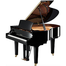 Дисклавир Yamaha DC1X ENST PE