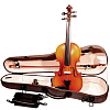 Скрипка GEWA Violin Outfit Europa 10 4/4 - 8