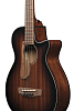 Бас-гитара Ibanez AEGB24E-MHS, Коричневый санбёрст - 3