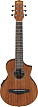 Акустическая гитара Ibanez EWP12EWB-OPN, Натуральный открытые поры - 1