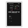 Пара студийных мониторов PIONEER DM-40D-BT-W - 7