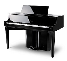 Гибридный цифровой рояль Kawai NV12 EP