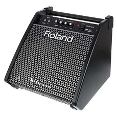 Персональный аудиомонитор Roland PM-100