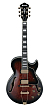 Электрогитара Ibanez AG95QA-DBS - 1