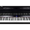 Цифровой рояль Roland GP 9M PE - 9