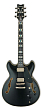Электрогитара Ibanez JSM20-BKL - 1