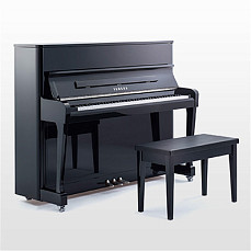 Акустическое пианино Yamaha Radius 121EX PE