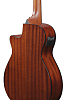 Бас-гитара Ibanez AEGB24E-BKH - 7