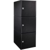 Пассивный элемент линейного массива Electro-Voice EVA-2151D-BLK (черный) - 2