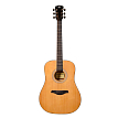 Акустическая гитара Rockdale Aurora D5 Nat Gloss, Nat Gloss - 1