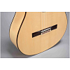 Гитара фламенко Altamira N300F+ - 3