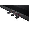Цифровое пианино GEWA DIGITAL-PIANO DP300 BLACK - 7