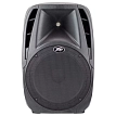 Портативная акустическая система Peavey PBK 12FM - 1