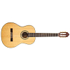 Классическая гитара Peavey CNS 2 - 5