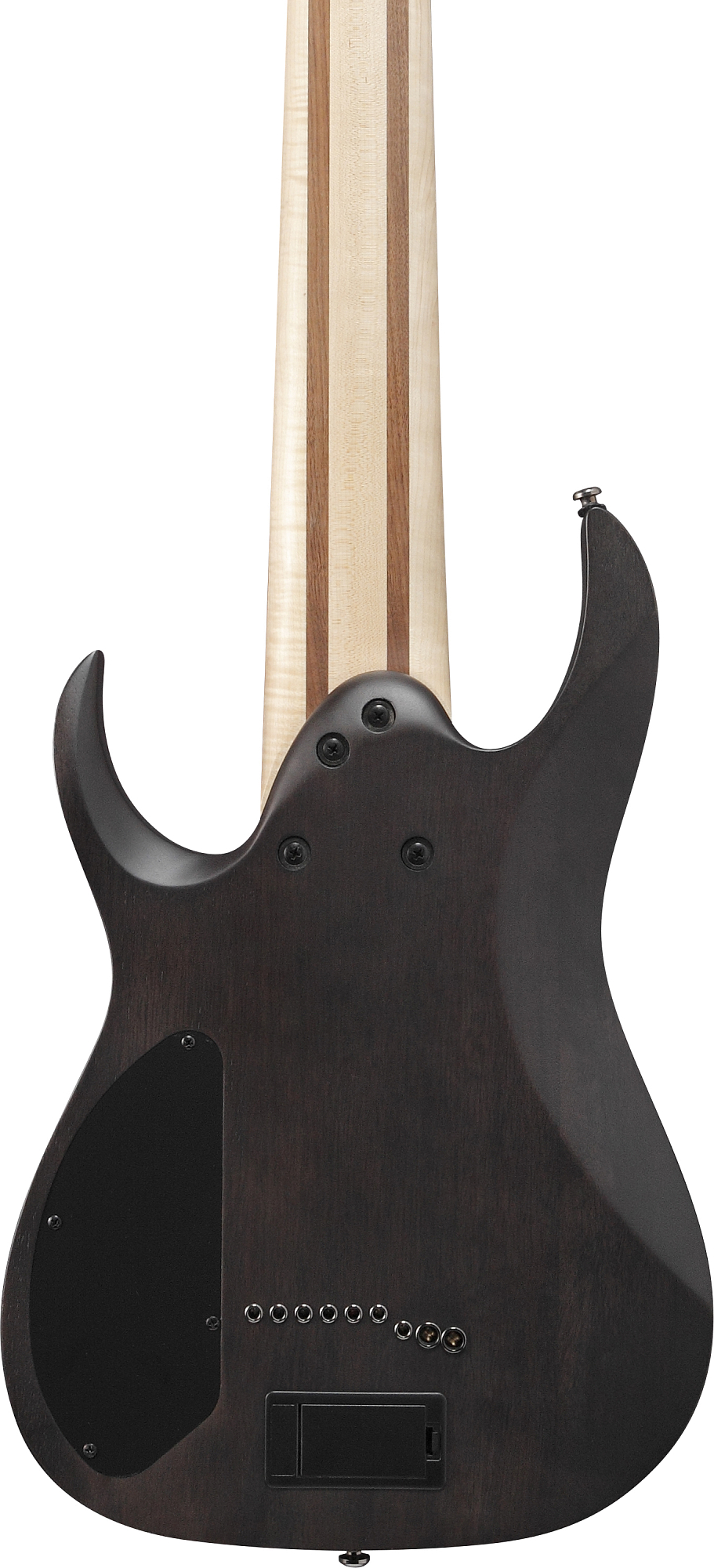 Электрогитара Ibanez RG9PB-TGF - 13