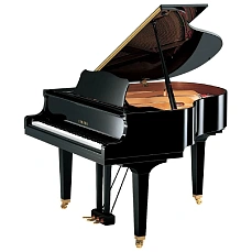 Дисклавир Yamaha DGB1K ENCL PE