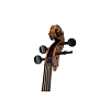 Виолончель GEWA Cello Maestro 24 4/4 - 4
