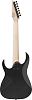 Электрогитара Ibanez RG7421EX-BKF, Черный - 2