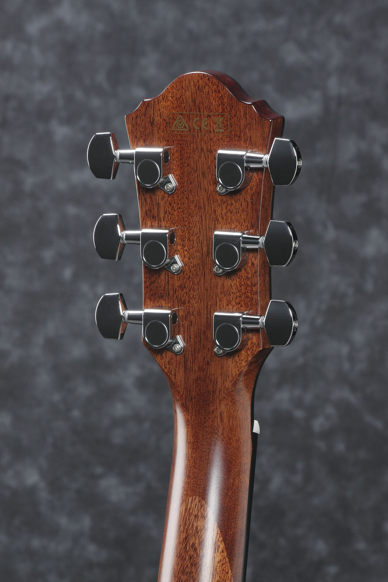 Акустическая гитара Ibanez AEG220-LGS - 10
