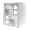 Пассивная сабвуферная система Electro‑Voice EVF‑2151D‑WHT - 2