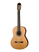 Классическая гитара Prodipe JMFSOLOIST700 - 1