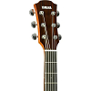 Электроакустическая гитара Yamaha AC3M VN ARE - 8