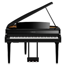 Цифровое пианино Yamaha CLP-895GP PE