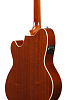Акустическая гитара Ibanez Tcm50-Vbs - 5