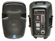 AudioVoice AP212D