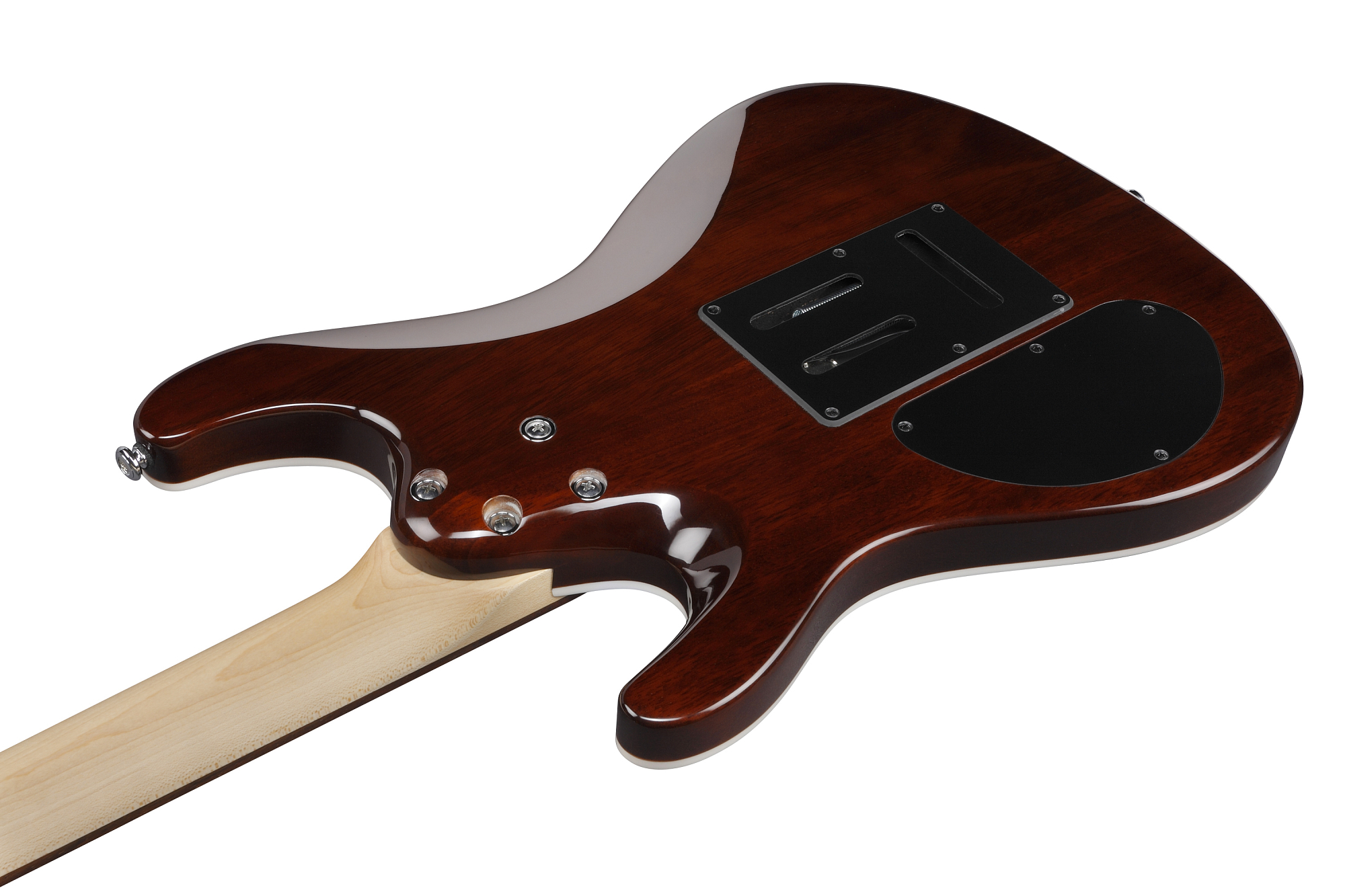 Электрогитара Ibanez SA260FM-BRG - 9