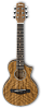 Акустическая гитара Ibanez EWP14WB-OPN - 2