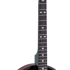 Банджо Stagg BJW-24 DL