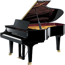 Малый концертный рояль Yamaha CF6 PE