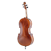 Виолончель в комплекте GEWA Allegro Cello Outfit 3/4 - 4