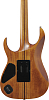 Электрогитара Ibanez RGT1220PB-ABS - 9