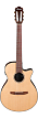 Классическая гитара Ibanez AEG50N-NT, Натуральный - 1