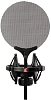 Конденсаторный микрофон sE Electronics sE2200 - 10