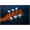 Электроакустическая гитара Crafter XC MINO-MAHO DDe VVS - 5