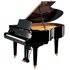 Дисклавир Yamaha DGC2 ENST PE