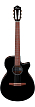 Классическая гитара Ibanez AEG50N-BKH - 1