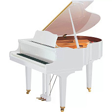 Дисклавир Yamaha DGB1K ENST PWH