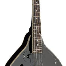 Электроакустическая мандолина Stagg M50 E BLK