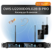 Двухканальная радиосистема Октава OWS-U2200D01L02В-B-PRO - 1