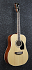 Акустическая гитара Ibanez Pf1512-Nt - 3