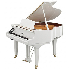 Дисклавир Yamaha DGCB ENST PWH