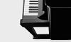 Акустическое пианино Yamaha Radius 121EX PE - 4
