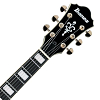 Электрогитара Ibanez AG95QA-DBS - 4