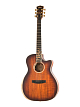 Электроакустическая гитара Cort TheBlackTree-LE-WCASE-LBS - 1