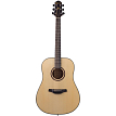 Акустическая гитара Crafter HD-250/N - 1